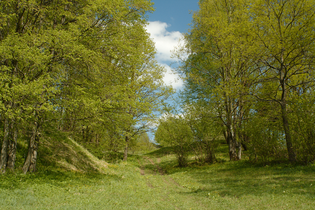 Ласковый май